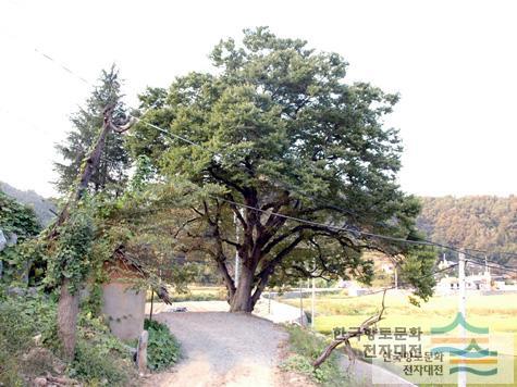 대표시청각 이미지