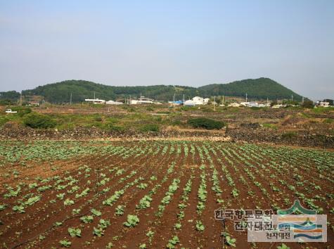 대표시청각 이미지