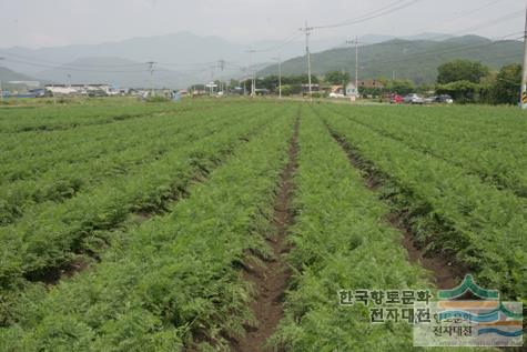 대표시청각 이미지