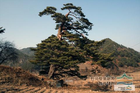 대표시청각 이미지