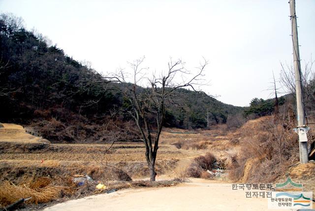 대표시청각 이미지