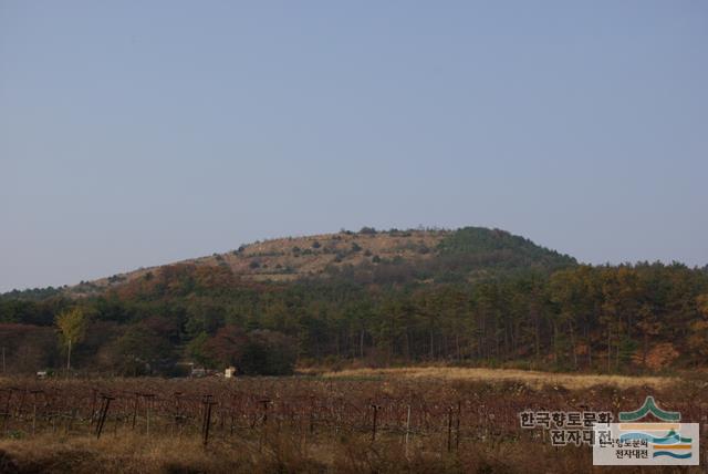 대표시청각 이미지