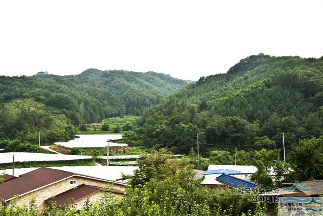 대표시청각 이미지