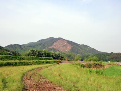 송학산 전경 썸네일 이미지