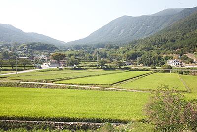 대성리 의신마을 썸네일 이미지