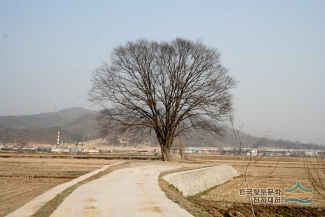 대표시청각 이미지