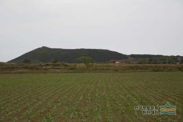 대표시청각 이미지