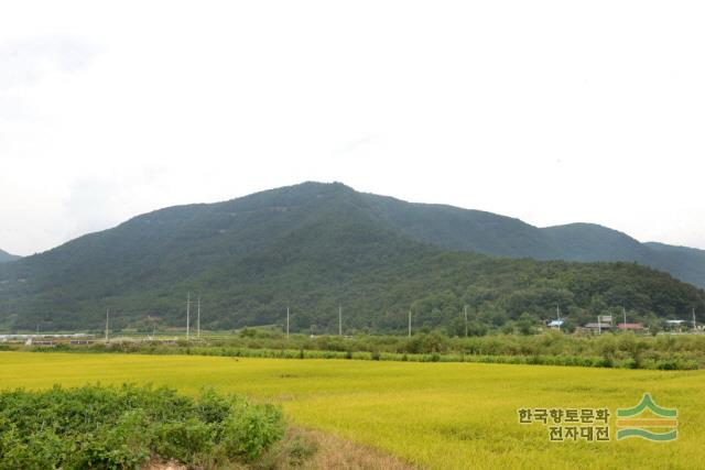 대표시청각 이미지