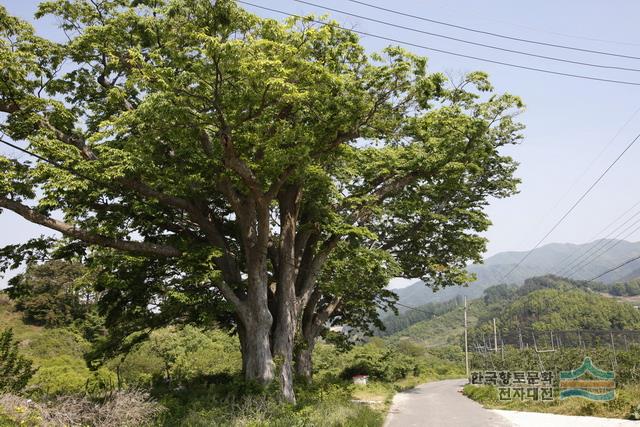 대표시청각 이미지