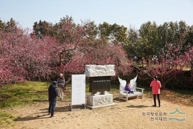 대표시청각 이미지