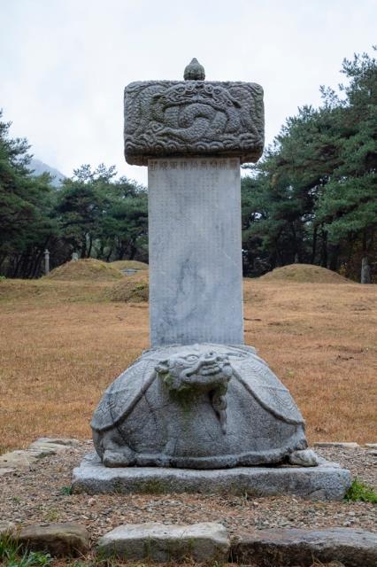 대표시청각 이미지