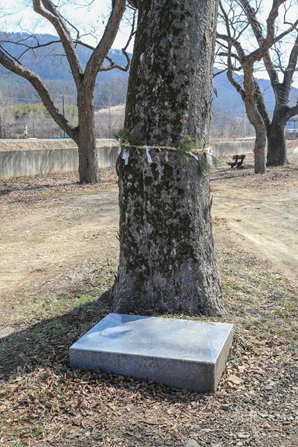 대표시청각 이미지