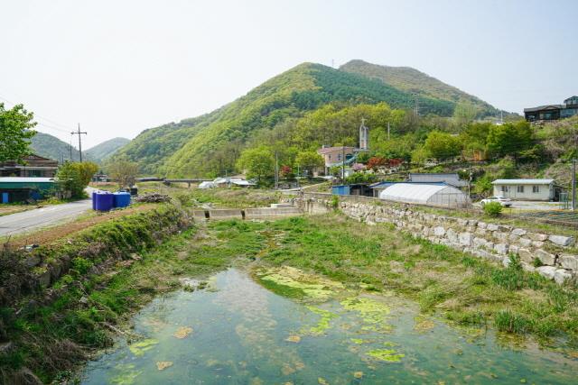 대표시청각 이미지