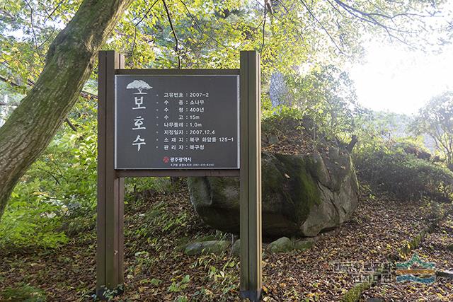 대표시청각 이미지